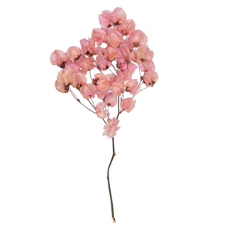 Kara Blossom Spraycherry Blossom Pink 
